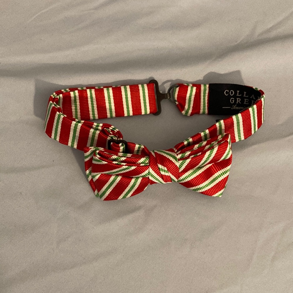 Brand new never worn Collared Green bow tie